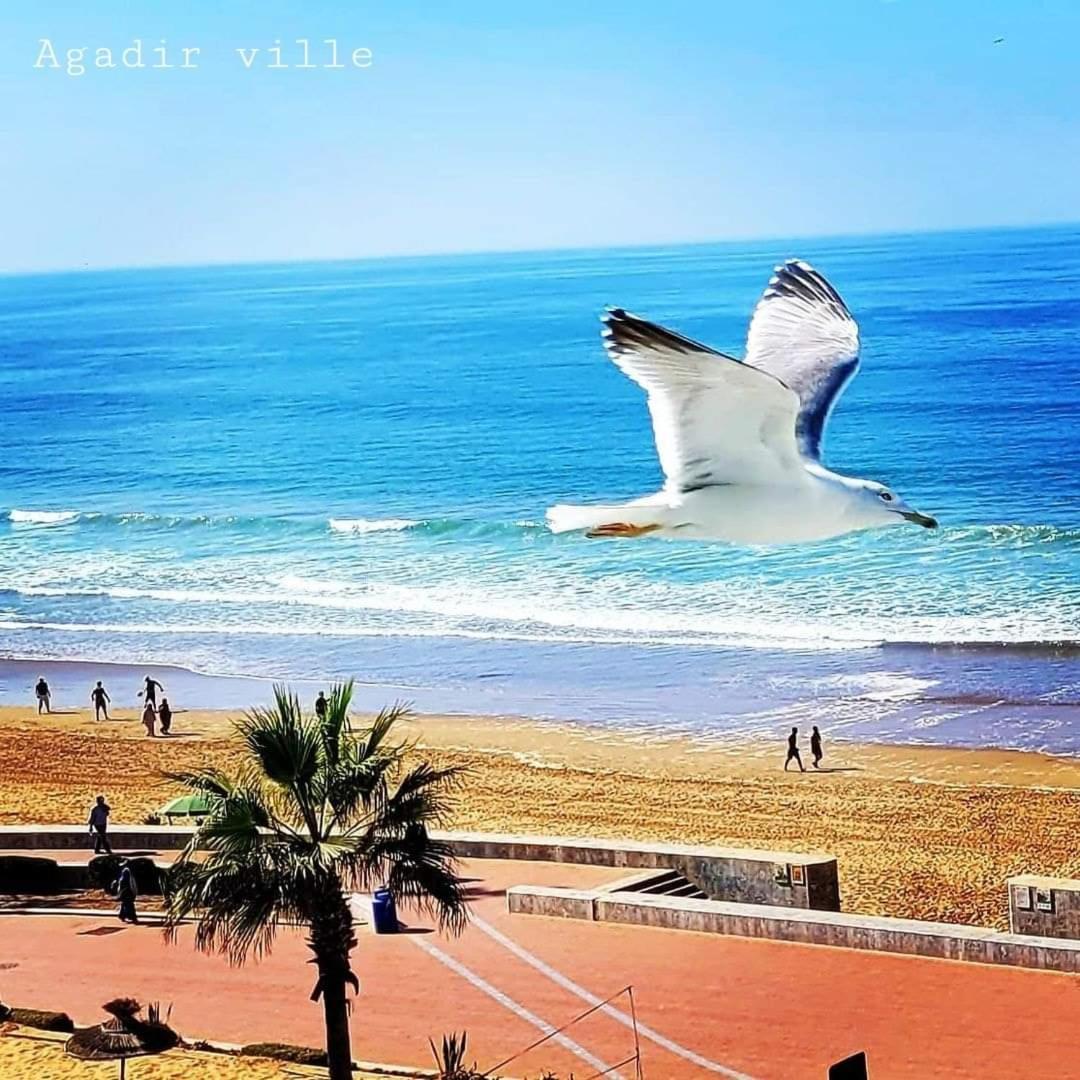Appartement Deluxe Avec Piscine Privee Agadir Ngoại thất bức ảnh